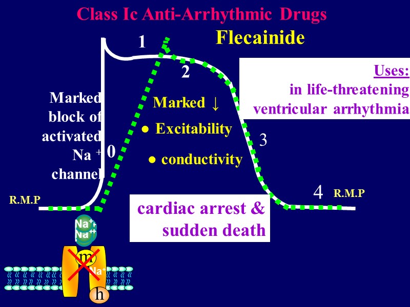 0  1 2 3   4 Na+ R.M.P Na+ m Na+ Na+
